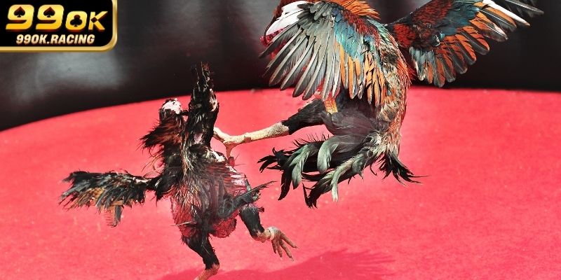 Mỗi loại hình đều toát lên một nét riêng biệt độc bản